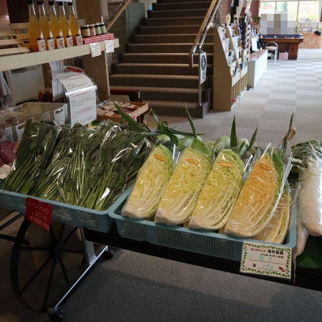 札幌市保養センター駒岡は、野菜が売っていました