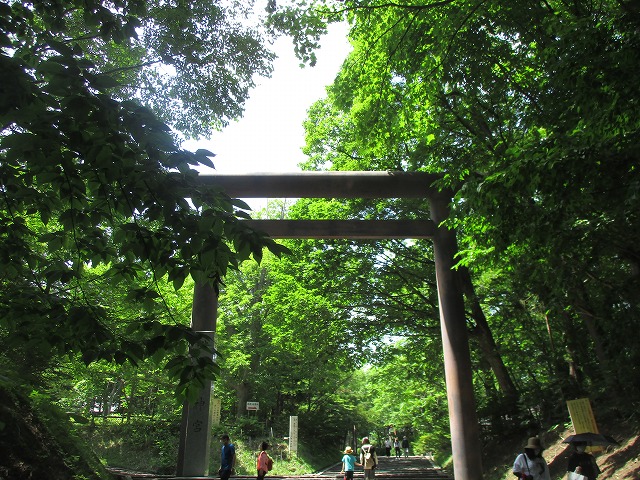 北海道神宮の鳥居