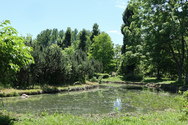 百合が原公園にある池