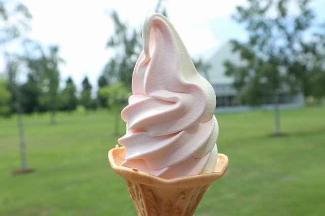 岩見沢公園でたべた、ローズソフトクリーム